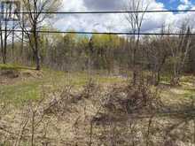 LOT 0 COUNTY ROAD 38 | Central Frontenac Ontario | Slide Image Four