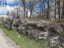 LOT 0 COUNTY ROAD 38 | Central Frontenac Ontario | Slide Image Six
