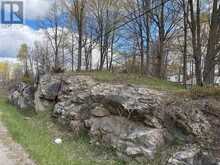 LOT 0 COUNTY ROAD 38 | Central Frontenac Ontario | Slide Image Five