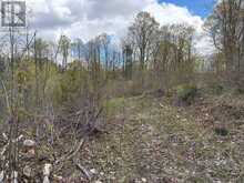 LOT 0 COUNTY ROAD 38 | Central Frontenac Ontario | Slide Image Eight