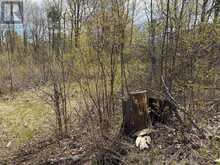 LOT 0 COUNTY ROAD 38 | Central Frontenac Ontario | Slide Image Nine