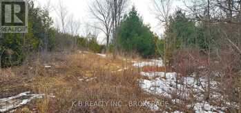 344 ADAIR ROAD | Stone Mills Ontario | Slide Image One