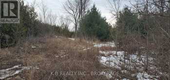 344 ADAIR ROAD | Stone Mills Ontario | Slide Image Two