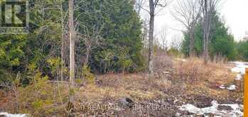 344 ADAIR ROAD | Stone Mills Ontario | Slide Image Three
