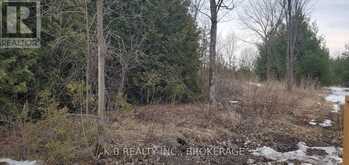 344 ADAIR ROAD | Stone Mills Ontario | Slide Image Four