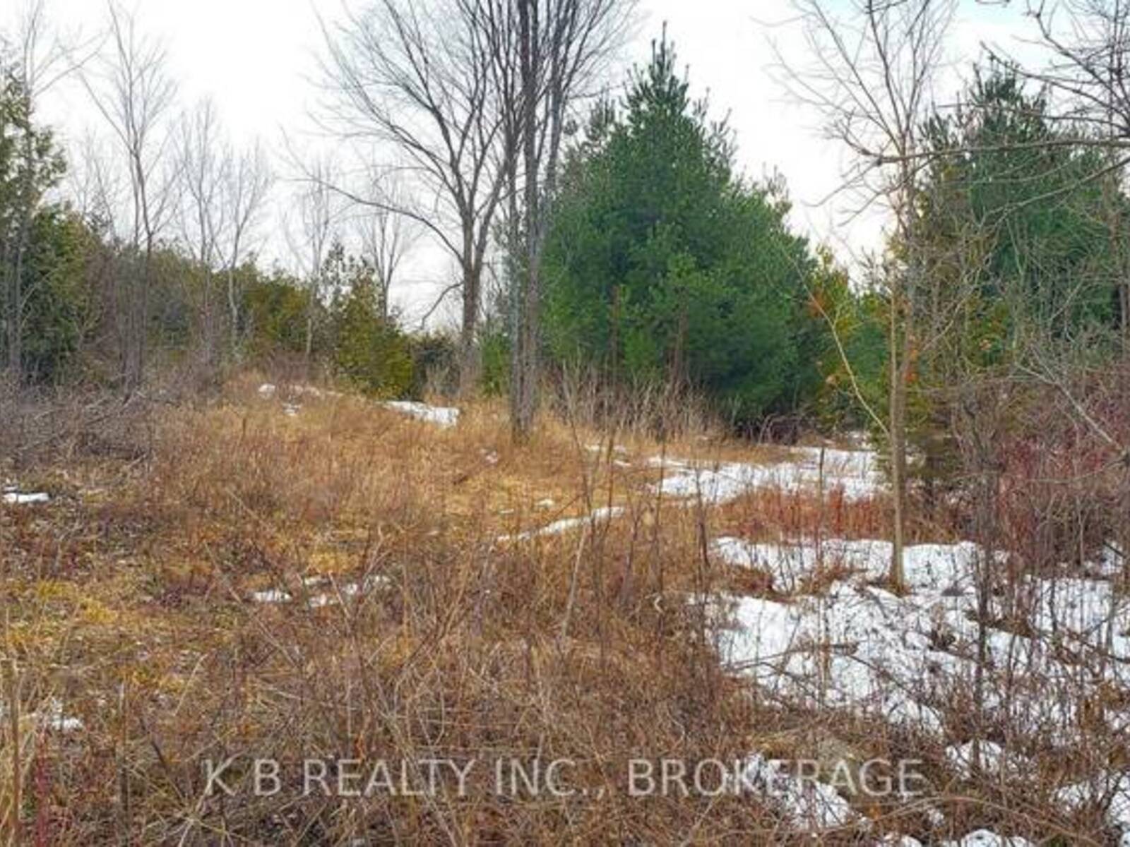 344 ADAIR ROAD, Stone Mills, Ontario K0K 3G0
