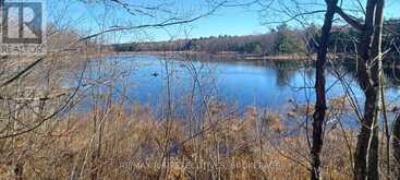 KALADAR CON 9 LT 21 | Addington Highlands Ontario | Slide Image One