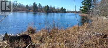 KALADAR CON 9 LT 21 | Addington Highlands Ontario | Slide Image Two