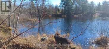KALADAR CON 9 LT 21 | Addington Highlands Ontario | Slide Image Three