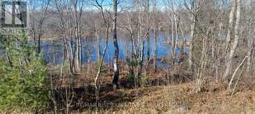 KALADAR CON 9 LT 21 | Addington Highlands Ontario | Slide Image Four