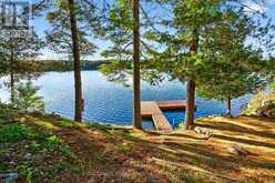 1133 SASSY TREE LANE | South Frontenac Ontario | Slide Image Forty-one