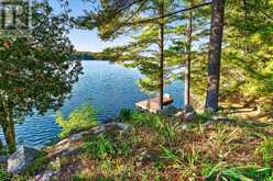 1133 SASSY TREE LANE | South Frontenac Ontario | Slide Image Forty