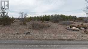 46 PEWORTH ROAD | Stone Mills Ontario | Slide Image Four