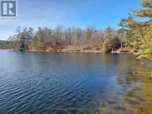 0 MURPHY'S ISLAND | Leeds and the Thousand Islands Ontario | Slide Image One