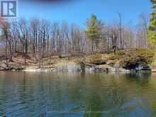 0 MURPHY'S ISLAND | Leeds and the Thousand Islands Ontario | Slide Image Five