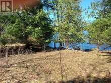 0 MURPHY'S ISLAND | Leeds and the Thousand Islands Ontario | Slide Image Thirty-seven