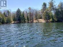 0 MURPHY'S ISLAND | Leeds and the Thousand Islands Ontario | Slide Image Thirty-six