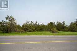 PT LT63 COUNTY RD 7 | Prince Edward Ontario | Slide Image Five