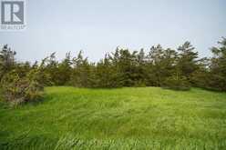 PT LT63 COUNTY RD 7 | Prince Edward Ontario | Slide Image Six