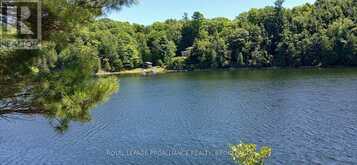 925 LODGE LANE | Leeds and the Thousand Islands Ontario | Slide Image Two
