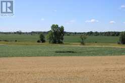 LT15-16 COUNTY ROAD 1 W | Greater Napanee Ontario | Slide Image Four