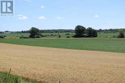 LT15-16 COUNTY ROAD 1 W | Greater Napanee Ontario | Slide Image Six