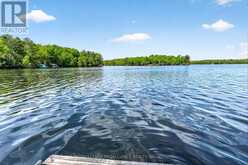 450 BROOKS POINT ROAD | Rideau Lakes Ontario | Slide Image Twelve