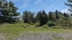 LOT 11 WINTERBERRY LANE | Leeds and the Thousand Islands Ontario | Slide Image One