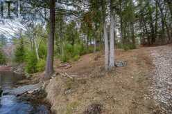 500 CLEAR LAKE LANE 31A | Tay Valley Ontario | Slide Image Thirty-four