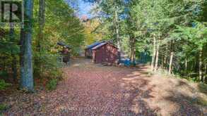 1778 BRULE LAKE ROAD | North Frontenac Ontario | Slide Image Thirty-one
