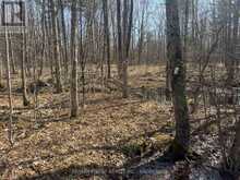 0 CALIFORNIA ROAD | Stone Mills Ontario | Slide Image Two