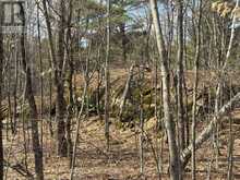 0 CALIFORNIA ROAD | Stone Mills Ontario | Slide Image Four