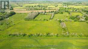 PT LT 1 TOWNLINE ROAD | Loyalist Ontario | Slide Image Five