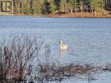 368 TROY LAKE ROAD | Rideau Lakes Ontario | Slide Image Eighteen