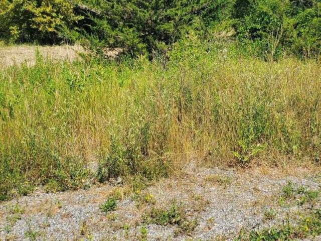 66 DORLAND DRIVE Greater Napanee Ontario, K7R 3K7 - Vacant Land For Sale
