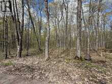 162 BLACK RAPIDS ROAD | Leeds and the Thousand Islands Ontario | Slide Image Two