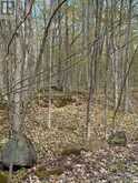 162 BLACK RAPIDS ROAD | Leeds and the Thousand Islands Ontario | Slide Image Six