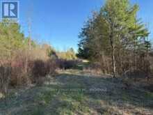 3439 COUNTY RD 3 | Leeds and the Thousand Islands Ontario | Slide Image Six