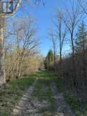 3439 COUNTY RD 3 | Leeds and the Thousand Islands Ontario | Slide Image Eight