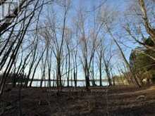 3439 COUNTY RD 3 | Leeds and the Thousand Islands Ontario | Slide Image Eleven