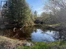 3439 COUNTY RD 3 | Leeds and the Thousand Islands Ontario | Slide Image Thirteen