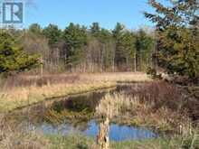 3439 COUNTY RD 3 | Leeds and the Thousand Islands Ontario | Slide Image Sixteen