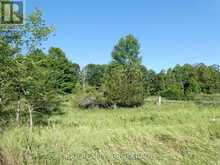 PT LT 5 CON 4 JAMES WILSON ROAD | South Frontenac Ontario | Slide Image Twenty-three