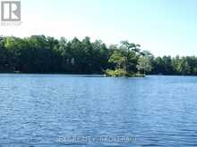PT LT 5 CON 4 JAMES WILSON ROAD | South Frontenac Ontario | Slide Image Seven