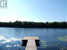 PT LT 5 CON 4 JAMES WILSON ROAD | South Frontenac Ontario | Slide Image Nine