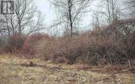 PT LT 5 WYONA LANE | Frontenac Islands Ontario | Slide Image Eleven