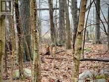 PT LT 5 WYONA LANE | Frontenac Islands Ontario | Slide Image Twelve