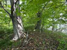 PT LT 5 WYONA LANE | Frontenac Islands Ontario | Slide Image Four