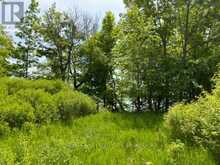 PT LT 5 WYONA LANE | Frontenac Islands Ontario | Slide Image Five