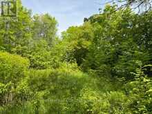 PT LT 5 WYONA LANE | Frontenac Islands Ontario | Slide Image Six